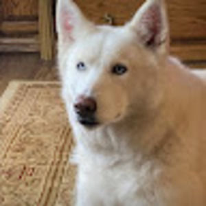 Meet your Posher, Lorraine